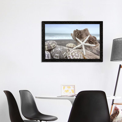 Crescent Beach Shells V by Alan Blaustein - Floater Frame Print on Canvas