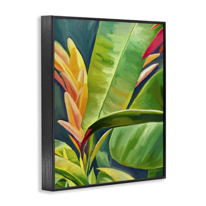 Art de verdure tropicale brillante par Amy Hall bg-090, H 14 po x l 11 po, Giclée encadrée noir minuit