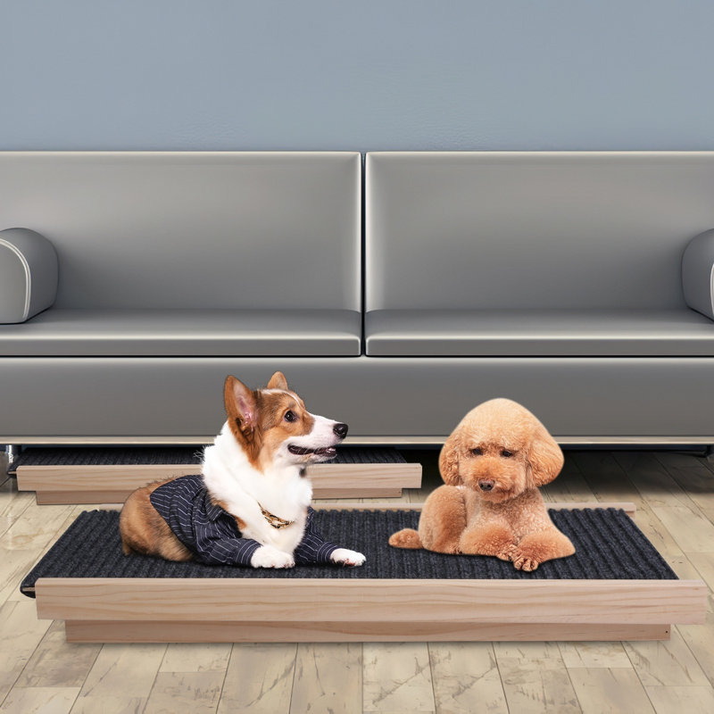 Rampe réglable pour chien en bois pliable