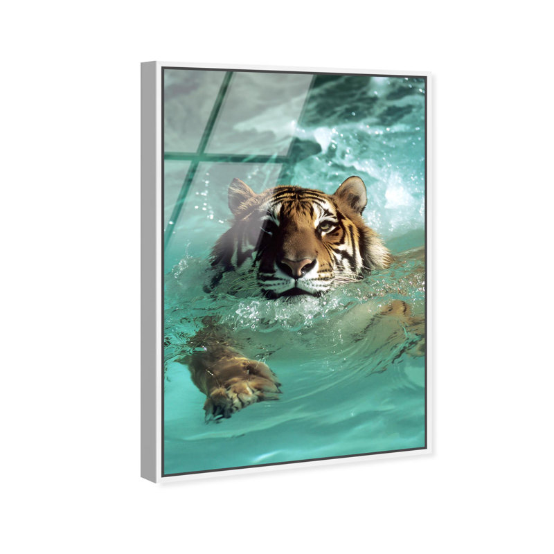 Oliver Gal Feline Pool Dip Animals - Framed Acrylic Glass Wall Art, Black, 24" H x 16" W