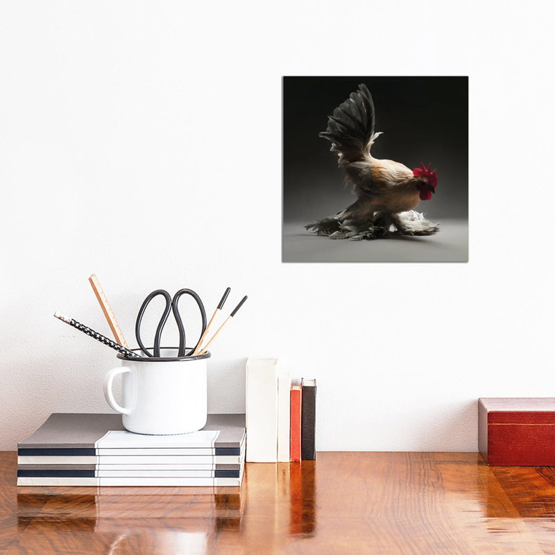 Booted Bantam - Wrapped Canvas Print, 30.48 cm H x 30.48 cm W
