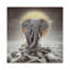 «Elephant - on Rocks Stay Gold» par Soaring Anchor Designs - impression d'art graphique-52935476-52935478-52935482
