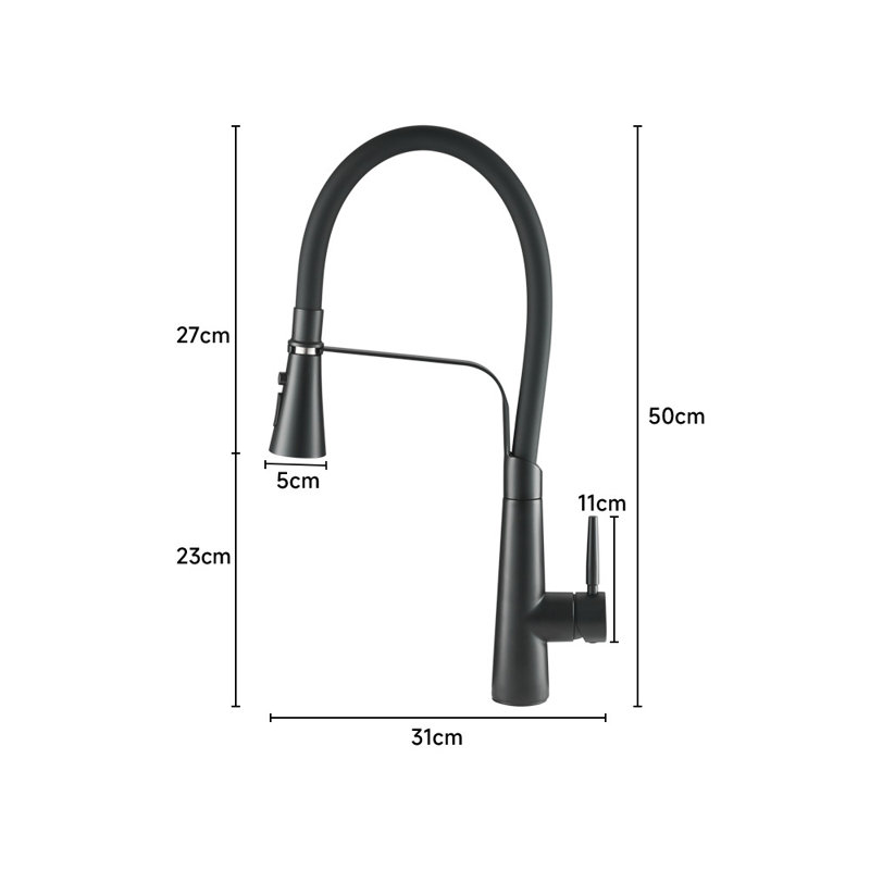 Belfry Kitchen Hyuk Kitchen Faucet, Matte Black