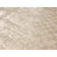 Area Rug in Beige