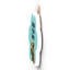 Gruia Wall Decor