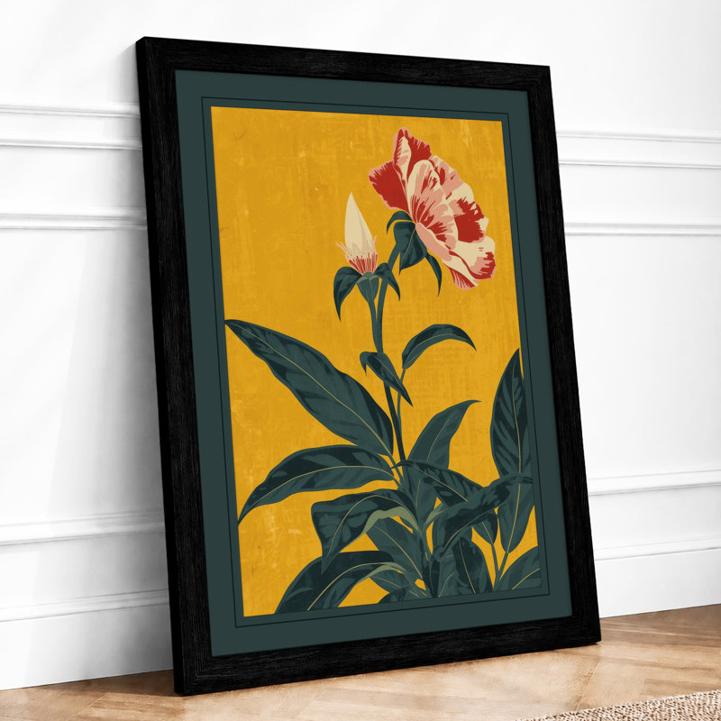 Carnation Study Botanical - Framed Print, A2 - 59.4 x 42.0 cm, Black