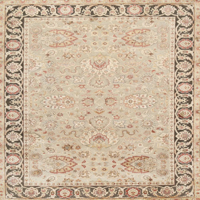 Kristine Wool Oriental Indoor Rug