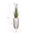 68'' Faux Reed Plant in Fiberstone Planter
