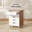 Mahaylia Filing Cabinet-715549311-715549310