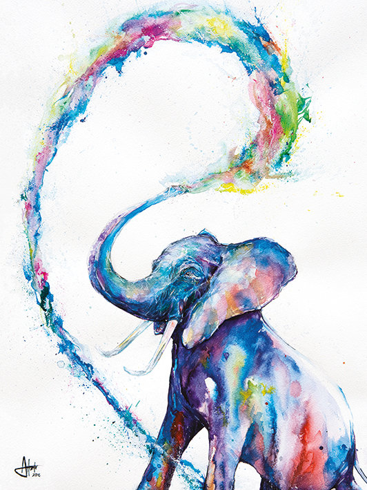 Marc Allante - Print on Canvas