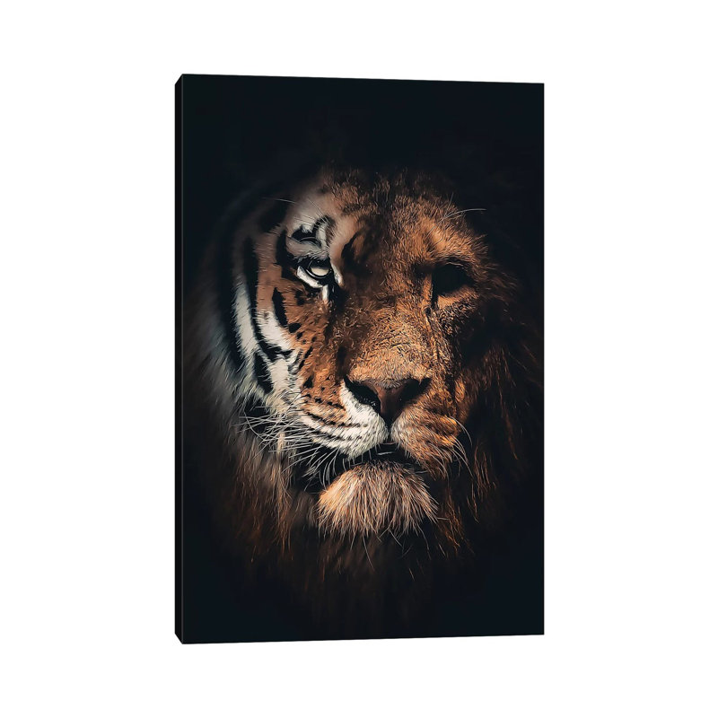 Half Tiger Half Lion by Zenja Gammer - Print on Canvas, Wrapped Canvas, 20.32 cm H x 30.48 cm W