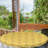 East Urban Home Yellow Bird Fitted Round Tablecloth Diameter Mustard Apricot-1881569627