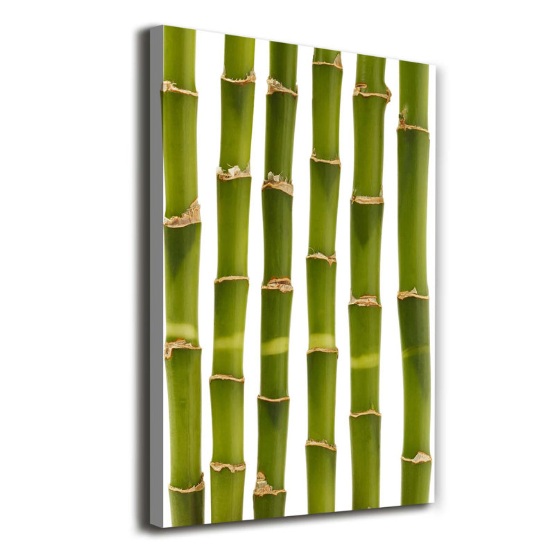 Bamboo - Wrapped Canvas Print