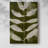 Organic Bloom V -Gallery Wrapped Cavas
