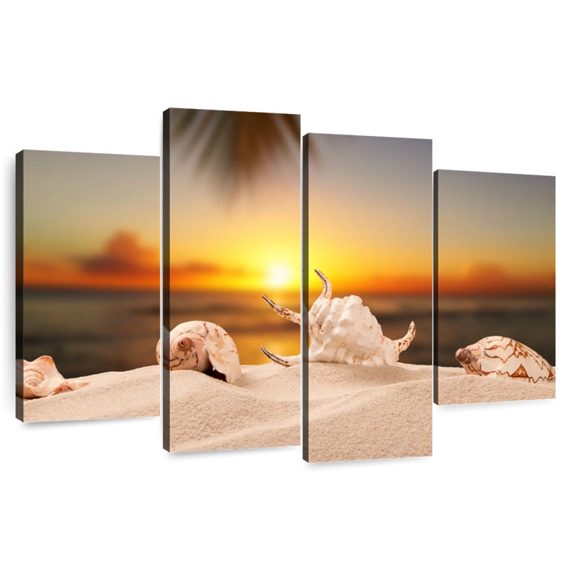 Sandy Beach Seashells, H 32 po x l 52 po