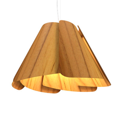 Fuchsia 1 - Light Pendant