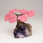 Small Rose Quartz Clustered Gemstone on Amethyst Matrix (The Love Tree)