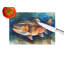 Brown Trout Glass Cutting Board Large