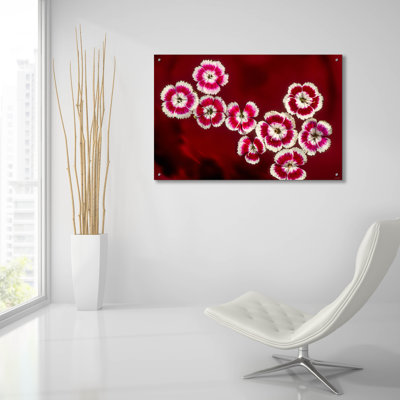 «Macro Flowers 02» par Gordon Semmens