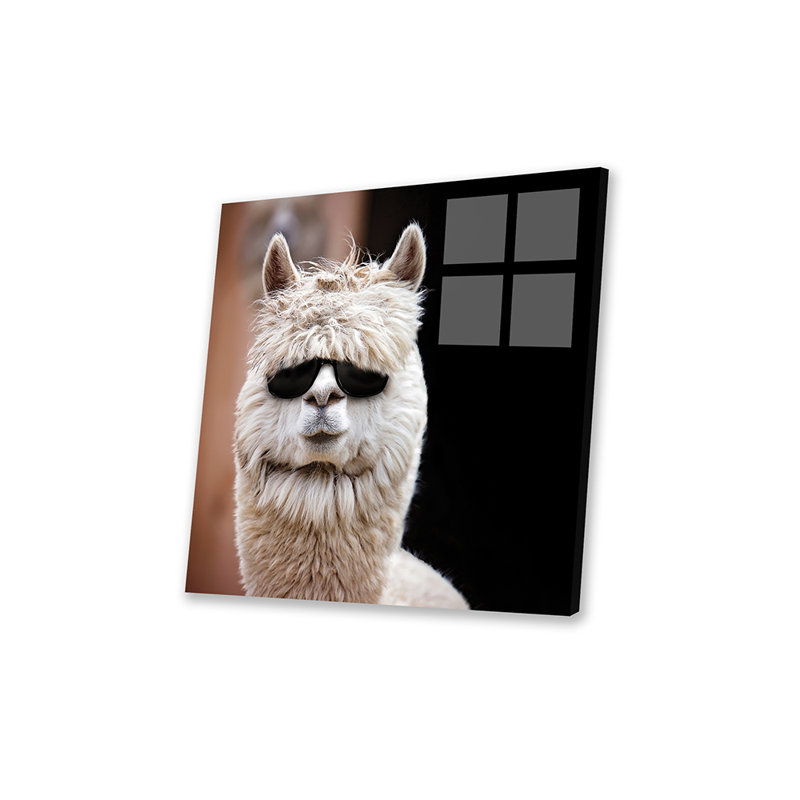 Alpaca in Shades par Karen Burke - photographie sans cadre