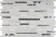 Moderno Blanco 12"x18" Stone/Glass Blend Interlocking Mosaic Tile