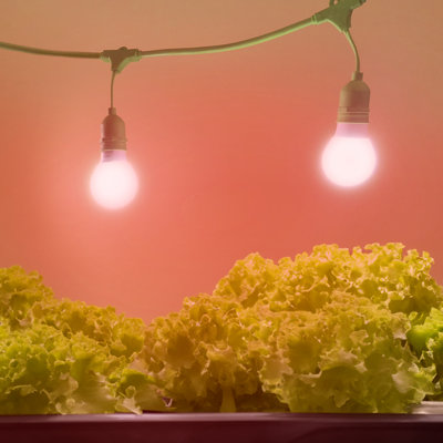 Miracle LED Full Lettuce Grow Light Kit