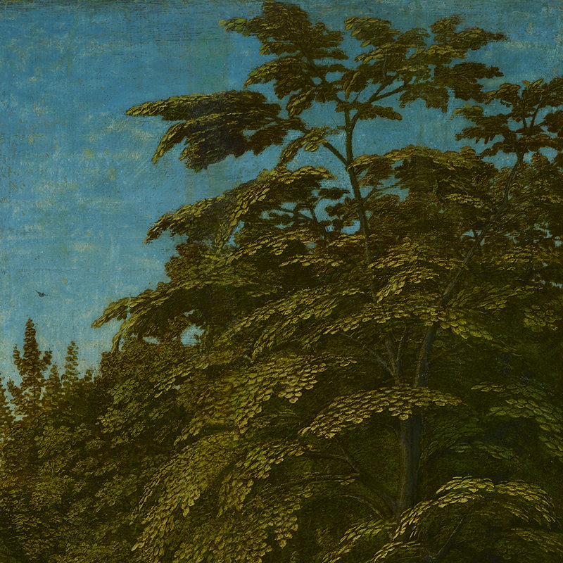 Forest Scene I Print by Gerard David