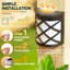 Matte Black 11cm H Solar Powered Outdoor Wall Lantern with Dusk to Dawn-1868437061