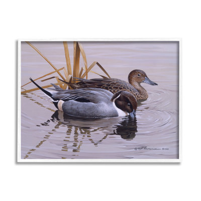 Stupell Industries Ducks With Pond Ripples By Rod Lawrence Single Picture Frame Print On Canvas In Coastal White Framed Giclee