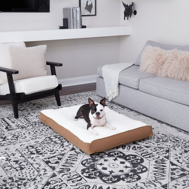 Lit pour chien Olivarez Classic, Très petit (L 24 po x l 18 po x H 5 po), Café au lait