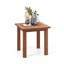 Allisia End Table