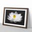 Heart of a White Lily - Picture Frame Graphic Art-62804629-62804626