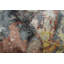 Tapis 8 x 10