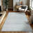 GLN Rugs Contemporary Collection - Machine Washable Modern Area Rug, Contemporary Washable Rug, Non Slip Area Rug, Abstract Living Room Rug, Bedroom Rug, Bathroom Rug (Gray Rug)-2120400062