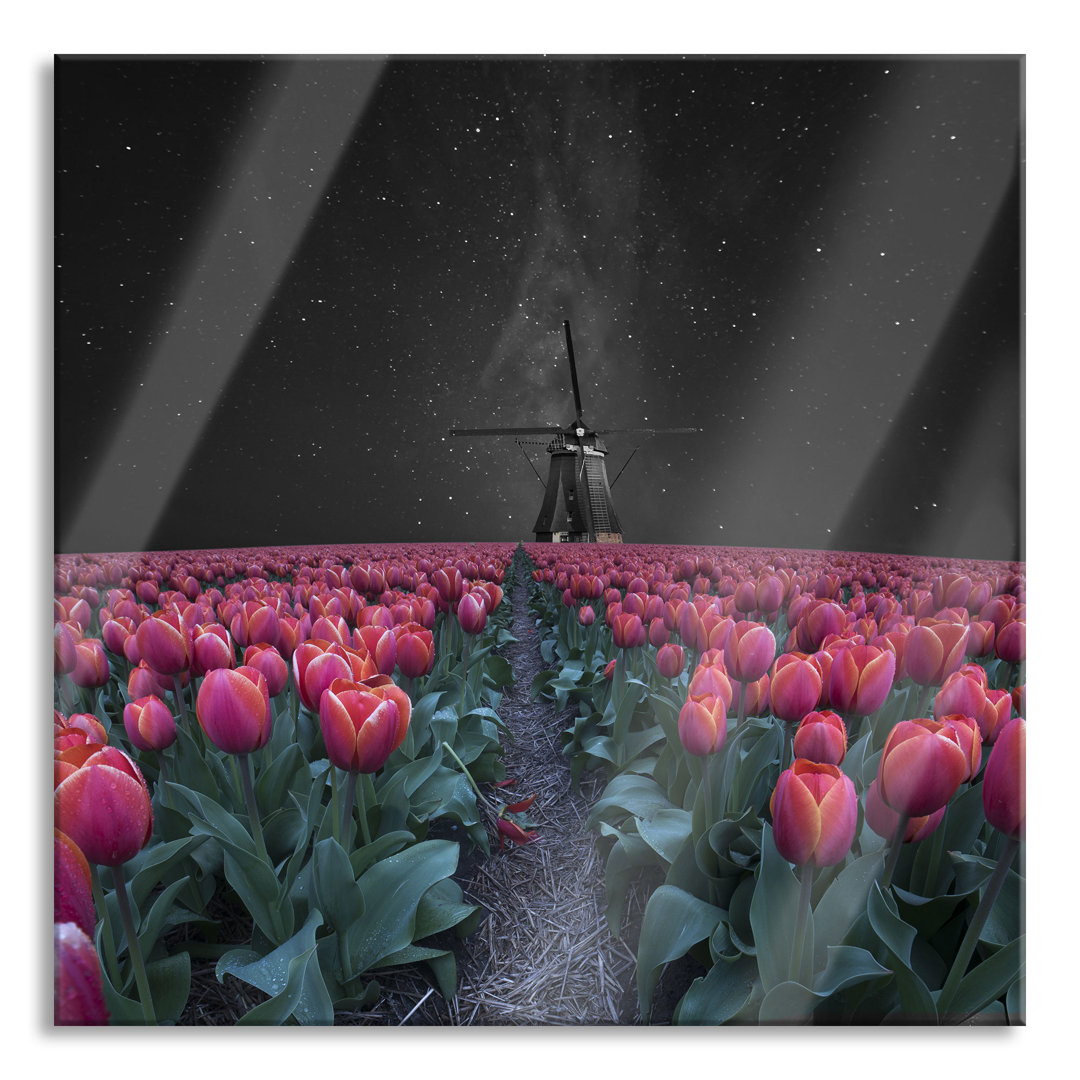 Glasbild Tulpenfeld mit Windmühle bei Nacht, schwarz-weiß Detail