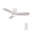 Ventilateur de plafond Honiton avec télécommande, ensemble d'éclairage inclus.-185083408-185083416-185083410