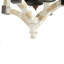 Alanna 4 - Light Geometric Chandelier