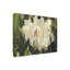 Art mural sur toile tendue - «Magnolia Shift II» par Ethan Harper pour décoration de salon, de chambre à coucher ou de bureau - 14 x 19