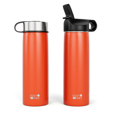 22 oz Bouteille d'eau à double paroi en acier inoxydable avec paille
