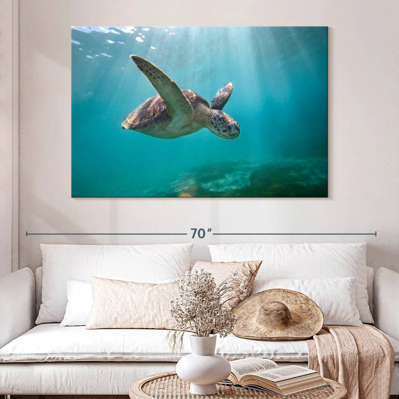 Tortue de mer Brampt Martinique, H 34 po x l 51 po