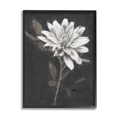 Blooming Dahlia Flower Black Background Giclee Texturized Wall Art By Nina Blue -  Stupell Industries, aq-641_fr_11x14