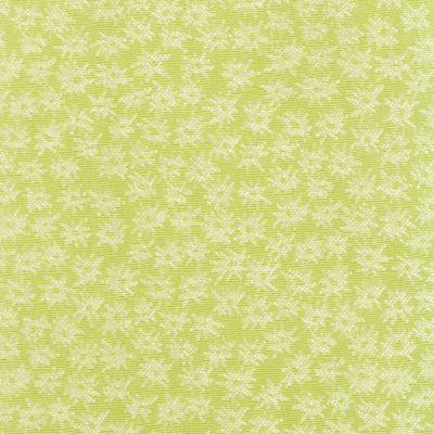 Eileen Kathryn Boyd Exclusively Pixie Fabric