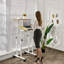 Adjustable Standing Desk-1034377222