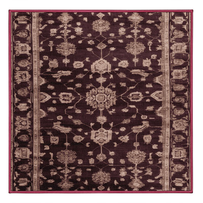 Machine Washable Overdyed Brown Area Rug
