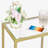 Beayer Glass Top End Table