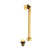 Unlacquered Brass