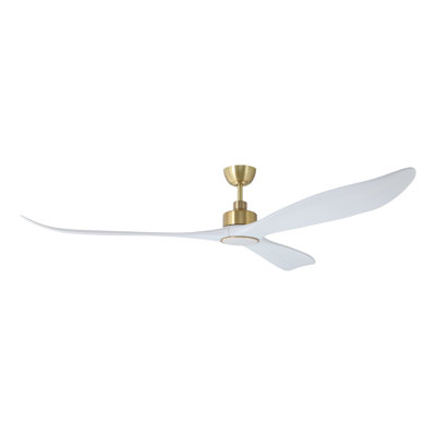 Ventilateur de plafond Zionne