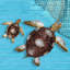 Handmade Coastal Landscape & Nature Wall Decor on Metal-897982235-898032848