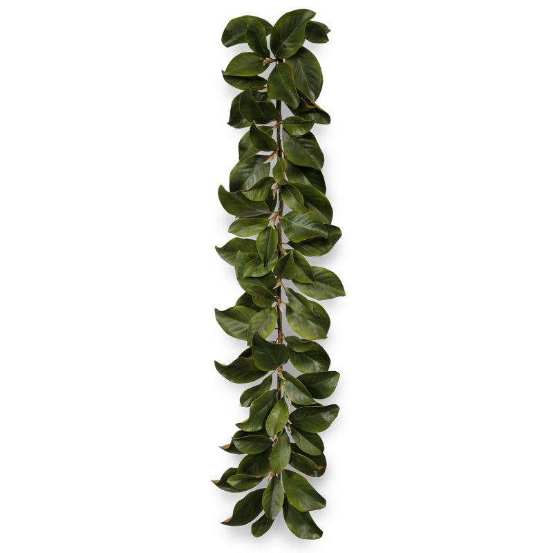 Feuille de guirlande magnolia 5 pi