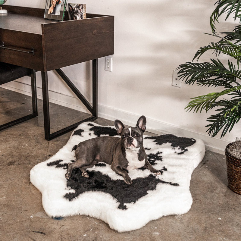  Tapis classique Puprug, H 2 po x l 35 po x P 40 po, Noir